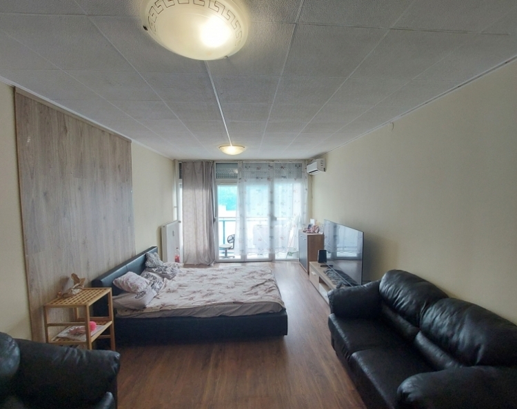 fp1.jpg